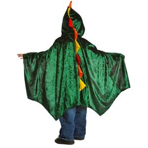 Dragon Cloak Costume